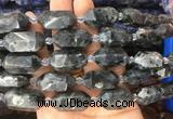 CBBS17 15 inches 11*25mm - 14*28mm hexahedral prism black labradorite beads