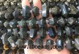 CBBS38 15 inches 12*25mm - 14*28mm hexahedral prism labradorite beads