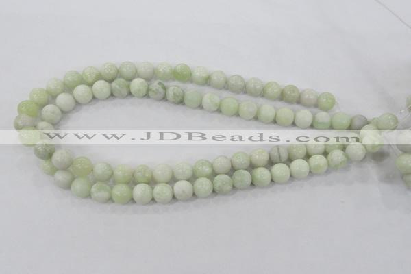 CBJ204 15.5 inches 10mm round butter jade beads wholesale