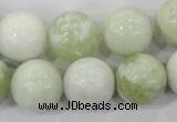 CBJ207 15.5 inches 16mm round butter jade beads wholesale