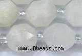 CCB1451 15 inches 9mm - 10mm faceted white moonstone beads