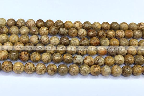 CCB1486 15 inches 10mm round gemstone beads