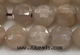 CCB705 15.5 inches 6mm faceted coin moonstone gemstone beads