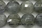 CCB726 15.5 inches 8mm faceted coin labradorite gemstone beads