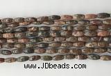 CCB810 15.5 inches 5*12mm rice leopard skin jasper beads wholesale