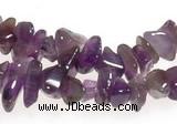 CCH12 35 inches purple amethyst chips gemstone beads wholesale