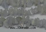 CCH205 34 inches 3*5mm blue chalcedony chips gemstone beads wholesale