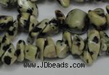 CCH228 34 inches 5*8mm dalmatian jasper chips gemstone beads wholesale