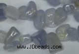 CCH322 15.5 inches 10*15mm blue chalcedony chips beads wholesale