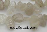 CCH622 15.5 inches 6*8mm - 10*14mm golden rutilated quartz chips beads