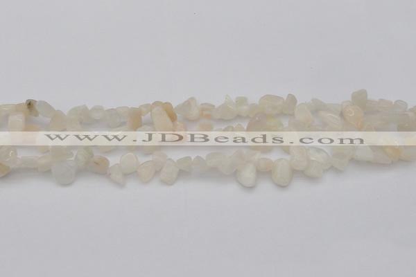 CCH624 15.5 inches 6*8mm - 10*14mm white moonstone chips beads