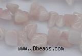 CCH626 15.5 inches 6*8mm - 10*14mm morganite gemstone chips beads