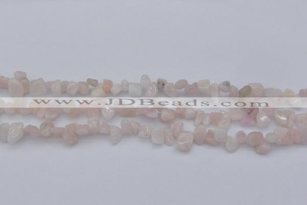 CCH626 15.5 inches 6*8mm - 10*14mm morganite gemstone chips beads