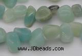 CCH630 15.5 inches 6*8mm - 10*14mm Chinese amazonite chips beads