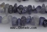 CCH659 15.5 inches 5*8mm - 6*10mm iolite gemstone chips beads