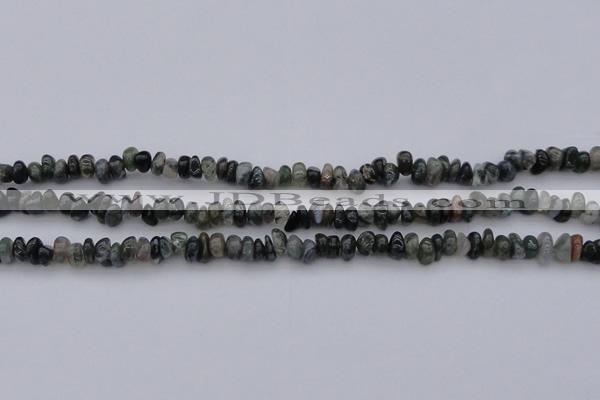 CCH663 15.5 inches 4*6mm - 5*8mm moss agate chips beads