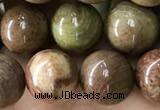 CCJ473 15.5 inches 10mm round rainbow jasper beads wholesale