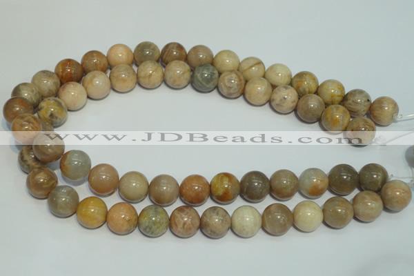 CCS306 15.5 inches 14mm round natural sunstone beads wholesale