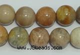 CCS307 15.5 inches 16mm round natural sunstone beads wholesale