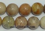 CCS308 15.5 inches 18mm round natural sunstone beads wholesale