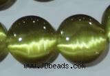 CCT573 15 inches 14mm flat round cats eye beads wholesale