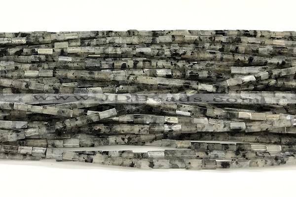 CCU1114 15 inches 2*4mm cuboid black labradorite beads