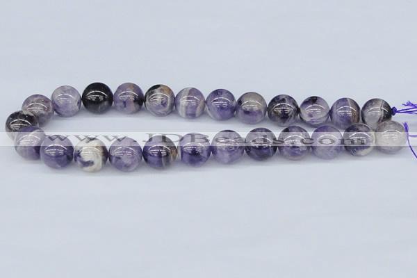 CDA56 15.5 inches 16mm round dogtooth amethyst beads wholesale