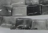 CEE210 15.5 inches 12*16mm rectangle eagle eye jasper beads