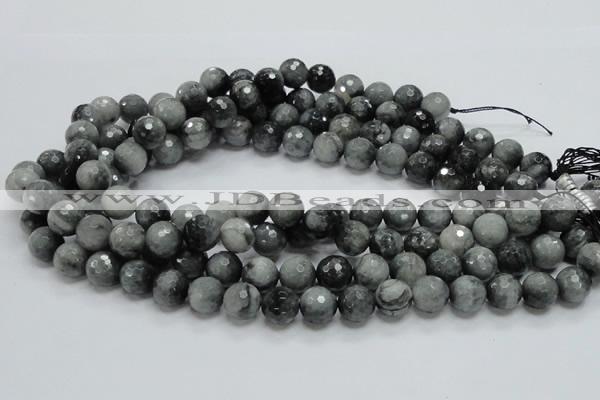 CEE22 15.5 inches 12mm faceted round eagle eye jasper beads wholesale