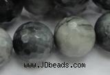 CEE25 15.5 inches 20mm faceted round eagle eye jasper beads wholesale