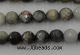 CEE353 15.5 inches 10mm faceted round eagle eye jasper beads