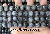 CEE544 15.5 inches 12mm round eagle eye jasper gemstone beads