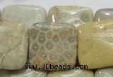 CFA18 15.5 inches 25*25mm square chrysanthemum agate beads