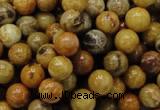 CFA32 15.5 inches 8mm round yellow chrysanthemum agate beads