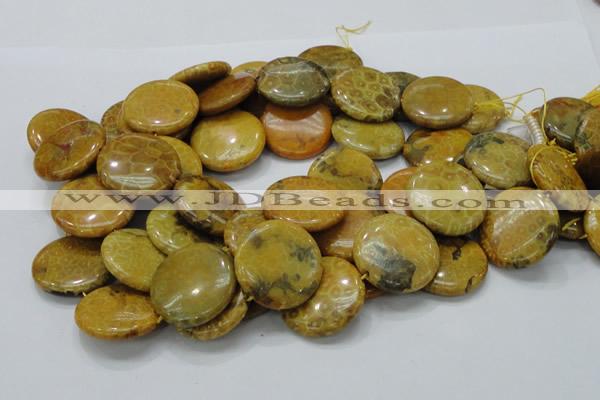 CFA45 15.5 inches 30mm flat round yellow chrysanthemum agate beads