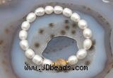 CFB924 9mm - 10mm rice white freshwater pearl & yellow crazy lace agate stretchy bracelet