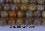 CFC201 15.5 inches 6mm round fossil coral beads wholesale