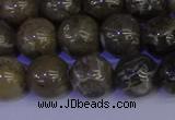 CFC214 15.5 inches 12mm round grey fossil coral beads wholesale