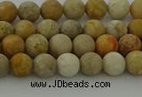 CFC221 15.5 inches 6mm round matte fossil coral beads wholesale