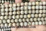 CFC333 15.5 inches 8mm round fossil coral beads wholesale