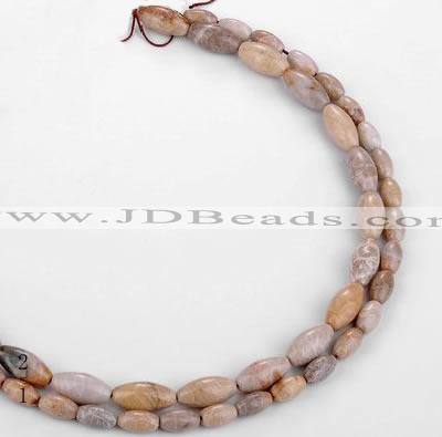 CFC54 15.5 inches rice shape coral fossil jasper beads wholesale