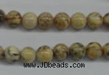 CFS02 15.5 inches 10mm round natural feldspar gemstone beads