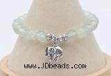 CGB7902 8mm prehnite bead with luckly charm bracelets wholesale