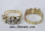 CGB821 30*68mm - 30*70mm druzy agate gemstone bangles wholeasale