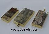 CGP3427 25*45mm - 30*55mm rectangle crazy lace agate pendants