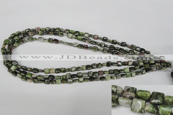 CGR31 15.5 inches 6*6mm square green rain forest stone beads