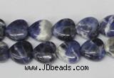 CHG11 15.5 inches 10*10mm heart sodalite gemstone beads wholesale