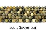 CHJ102 15 inches 8mm round honeybee jasper beads