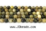 CHJ103 15 inches 10mm round honeybee jasper beads