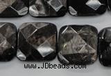 CHS28 15.5 inches 20*20mm faceted square natural hypersthene beads